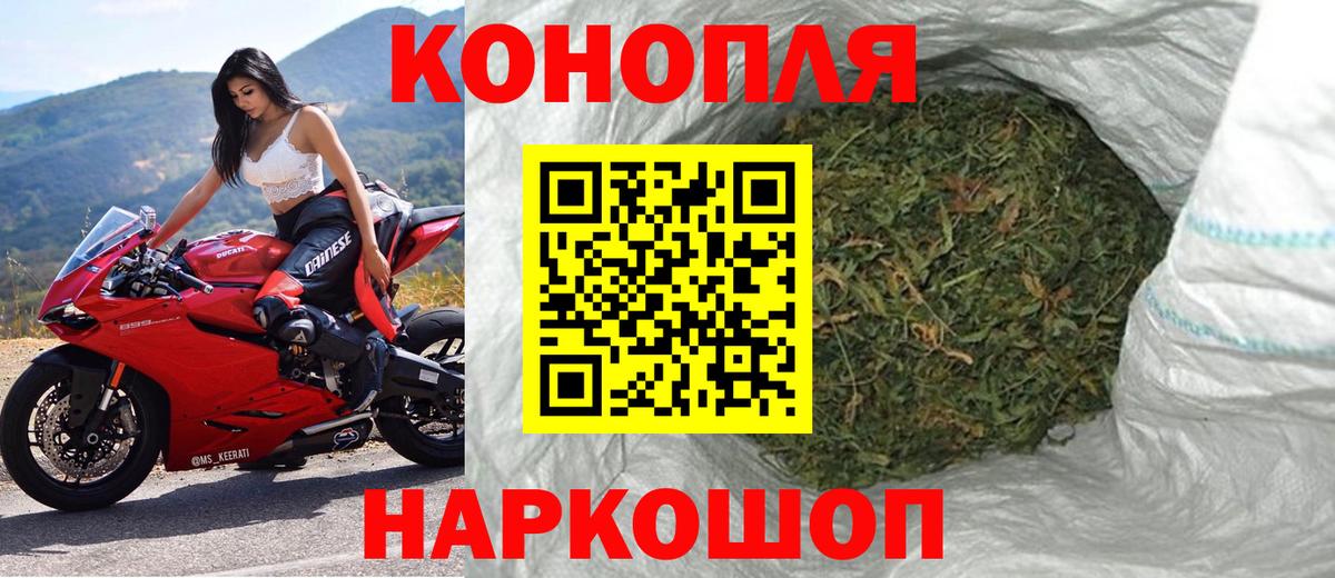 Канабис план Черняховск